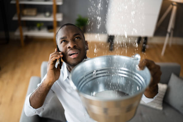 Best Sewage cleanup and water damage restoration  in Allen Park, MI
