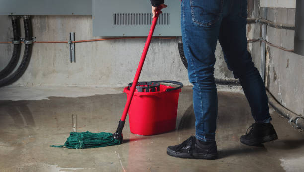 Best Flood damage cleanup  in Allen Park, MI