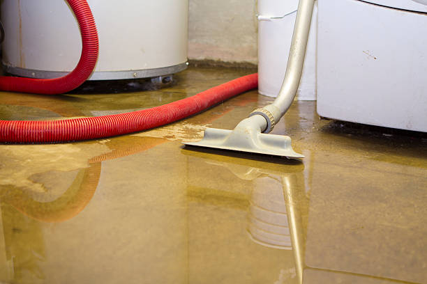 Best Flooded house restoration  in Allen Park, MI