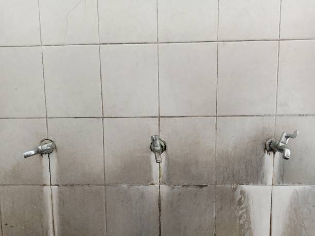 Best Commercial water damage restoration  in Allen Park, MI