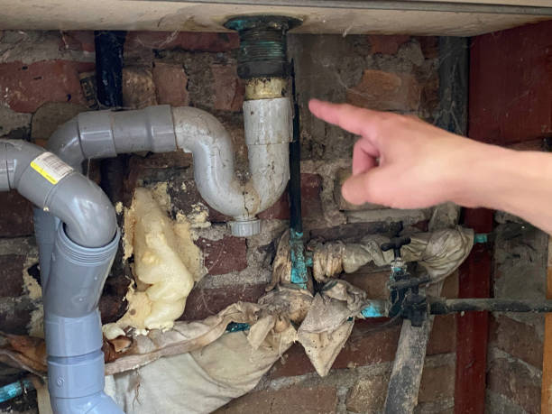 Best Emergency water extraction  in Allen Park, MI