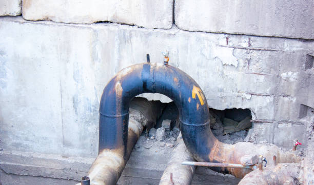 Best Residential water damage restoration  in Allen Park, MI